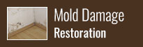 Mold Damage Restoration