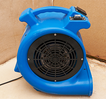 Vaccum in Mesa, Phoenix, and Valley Wide